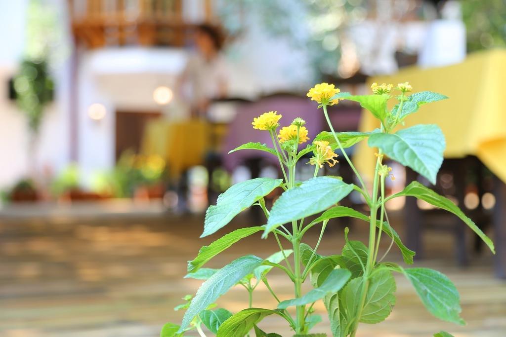 Akyaka Yali Capkini Hotel Buitenkant foto